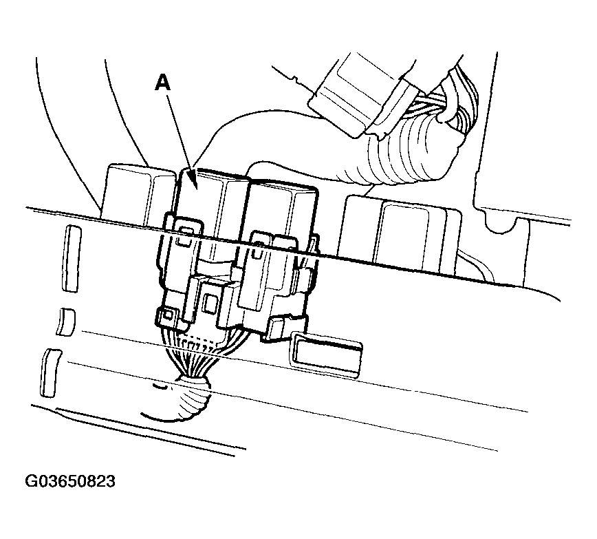 G03650823