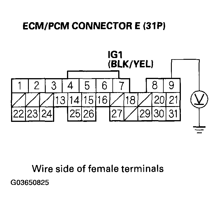 G03650825