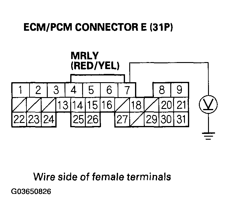G03650826