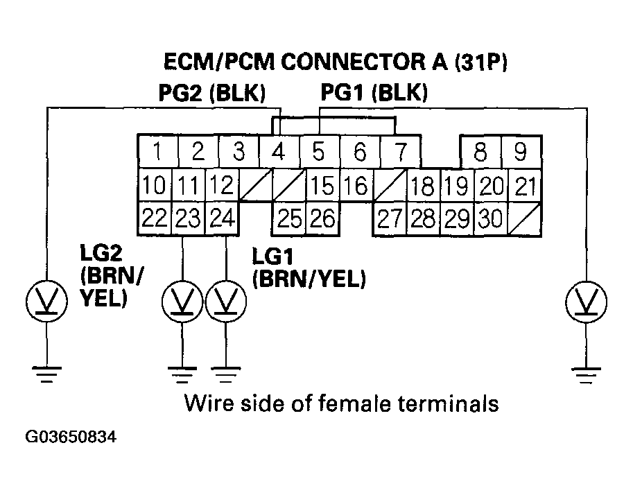 G03650834
