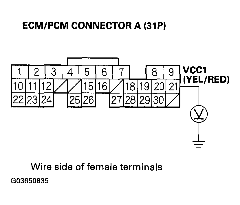G03650835