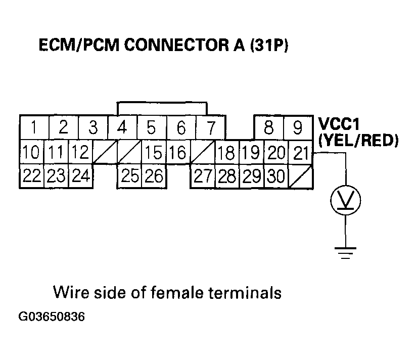 G03650836