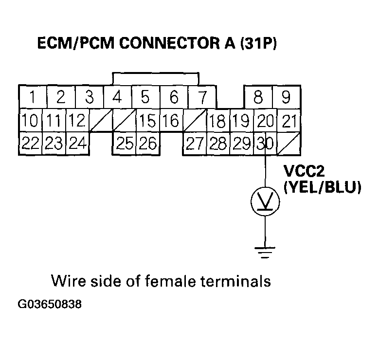 G03650838