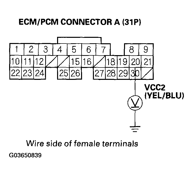 G03650839