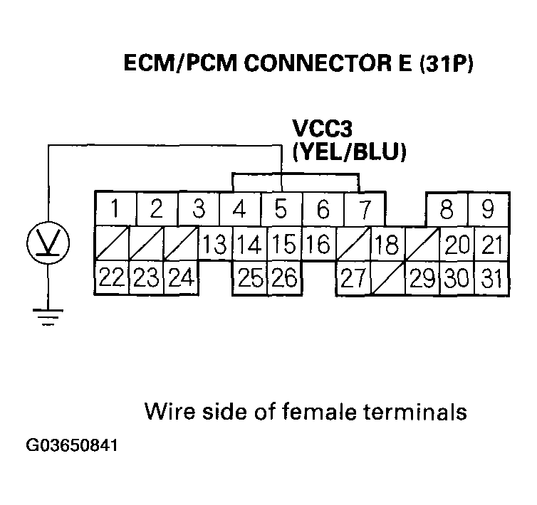 G03650841