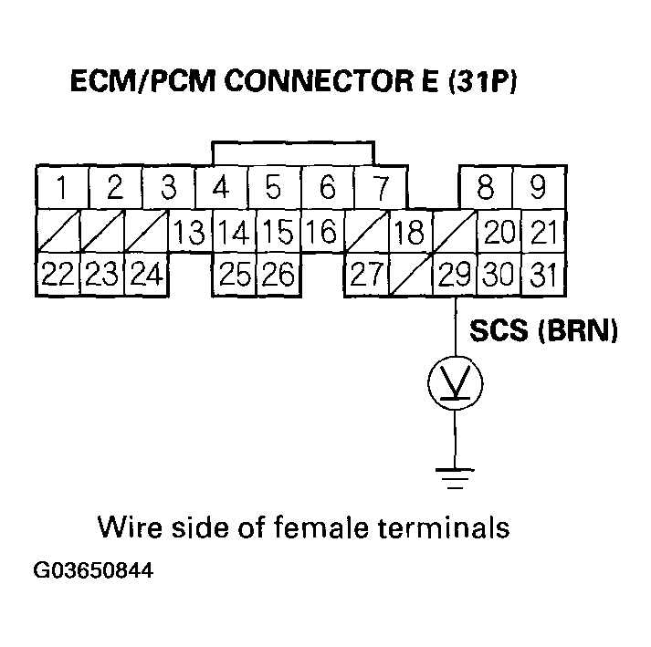 G03650844