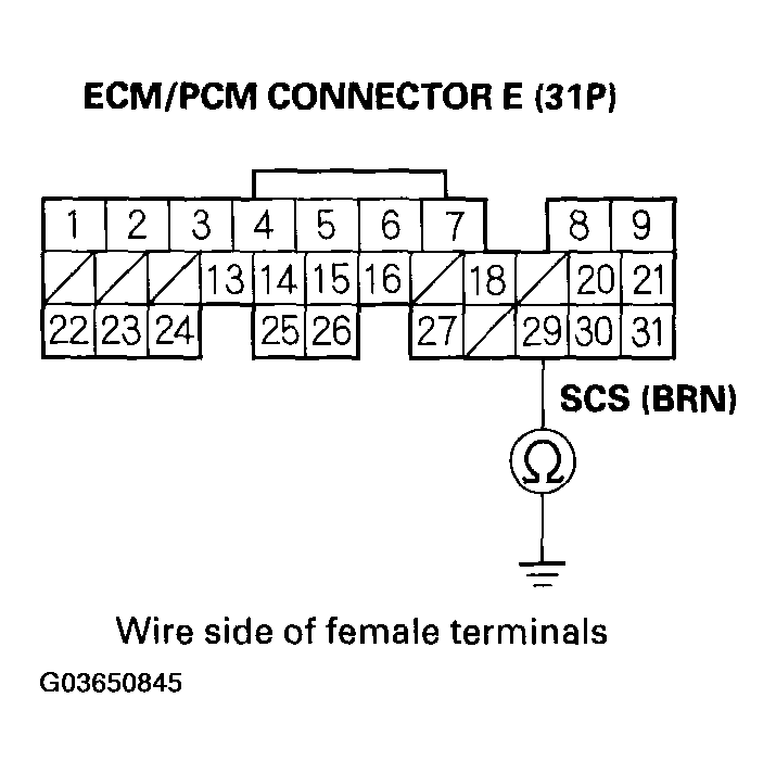 G03650845