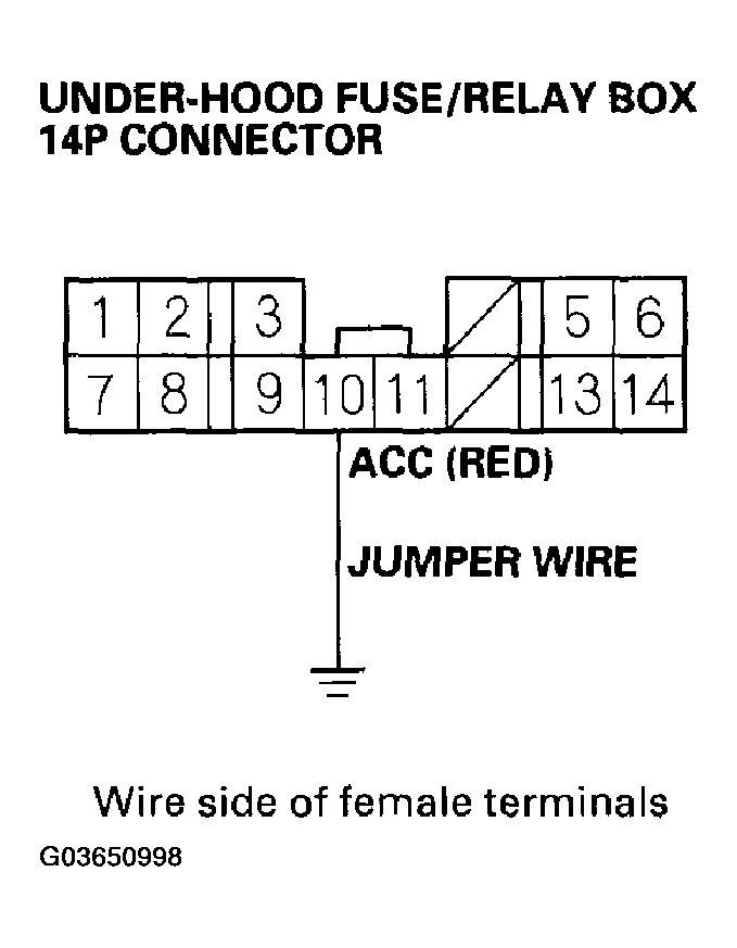 G03650998