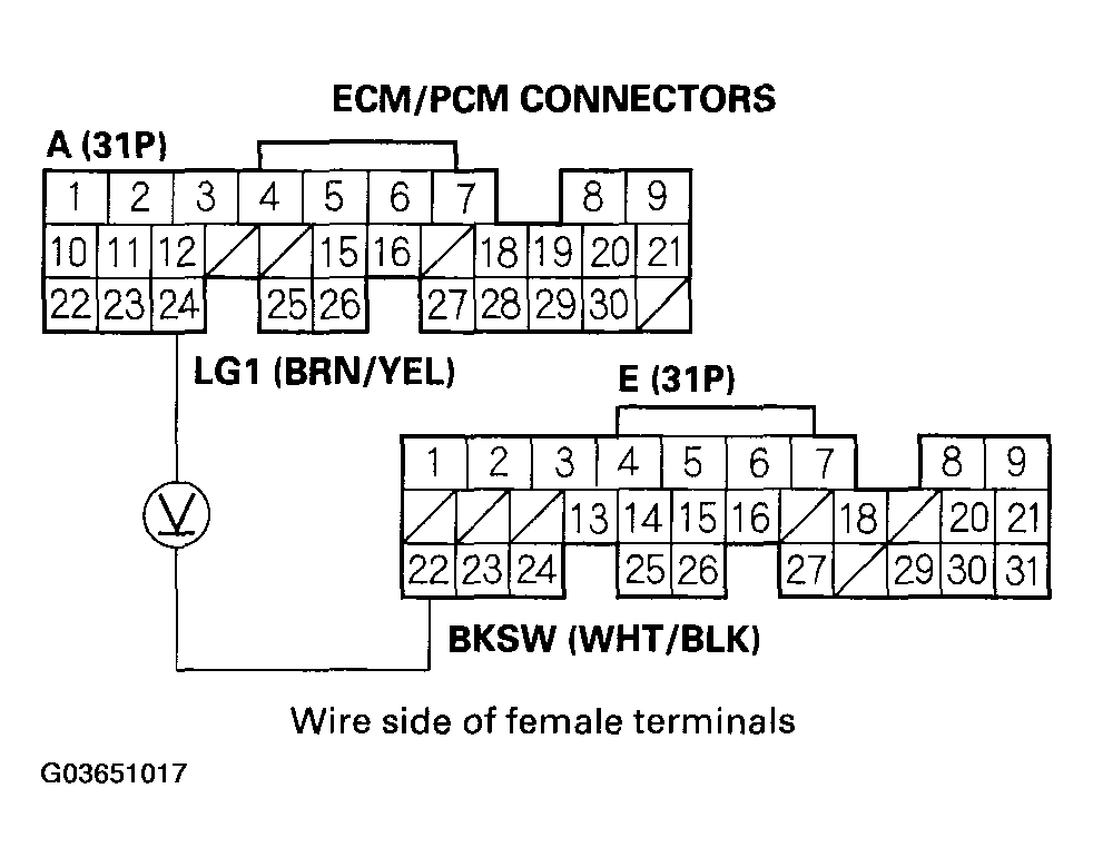 G03651017