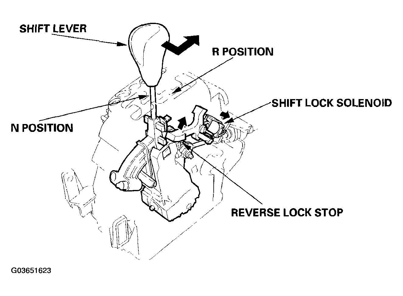 G03651623