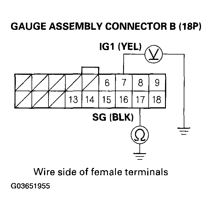 G03651955