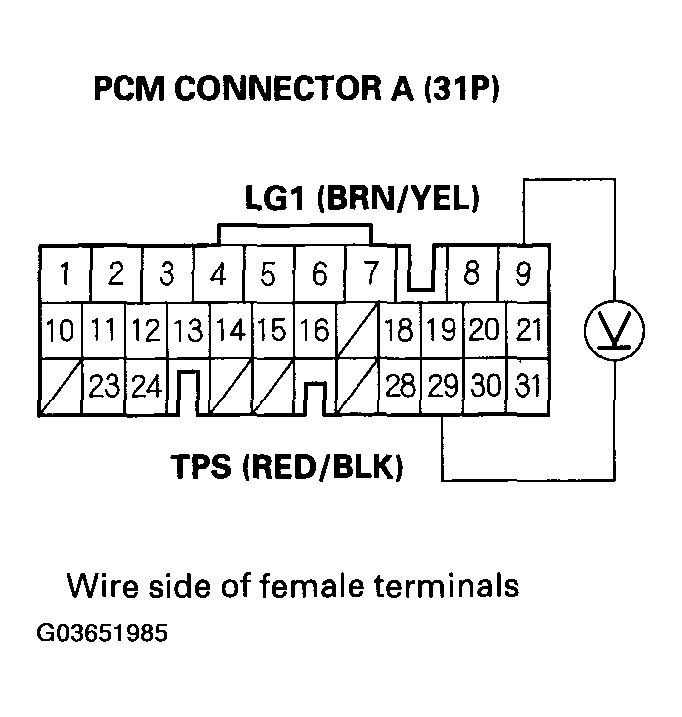 G03651985