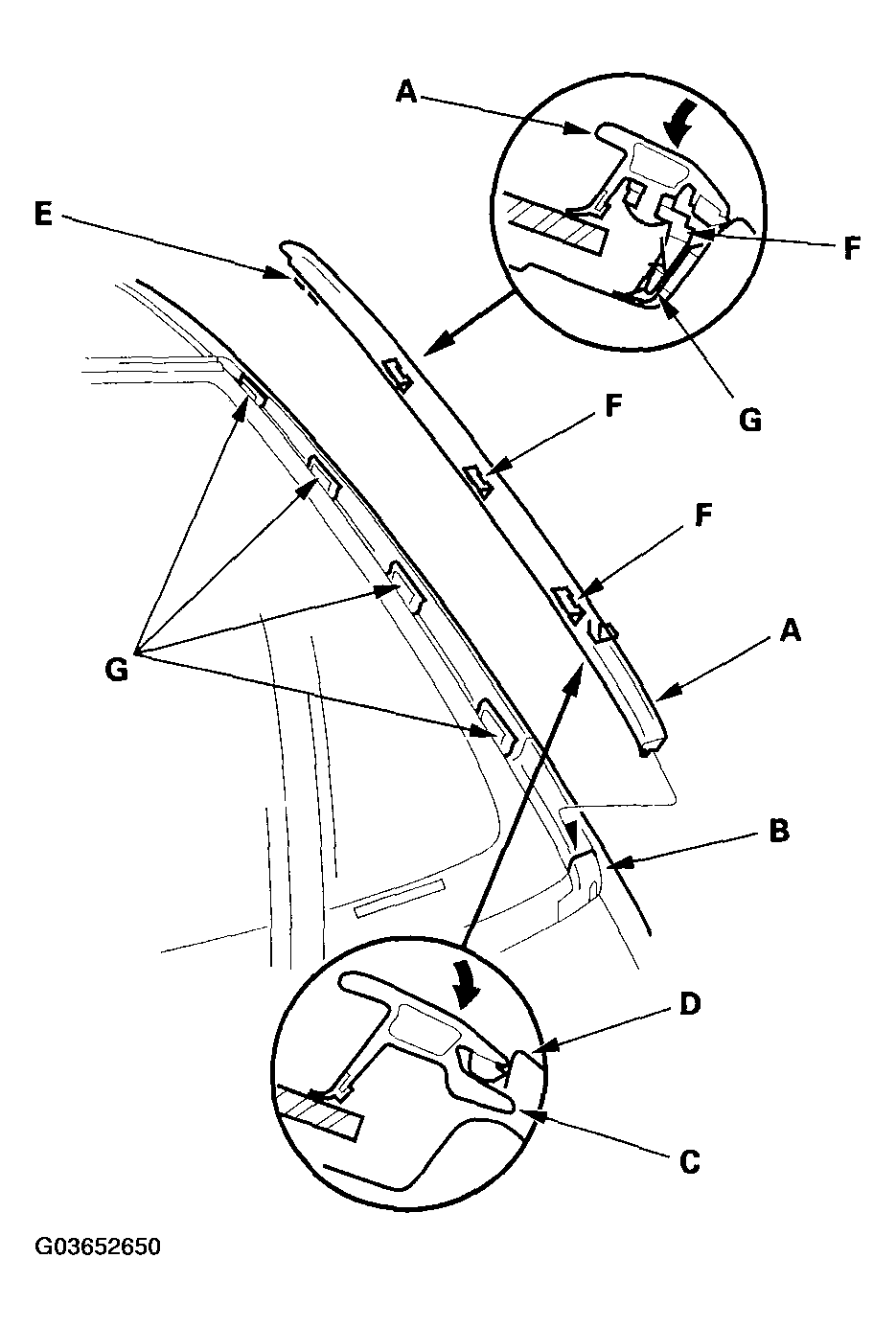 G03652650