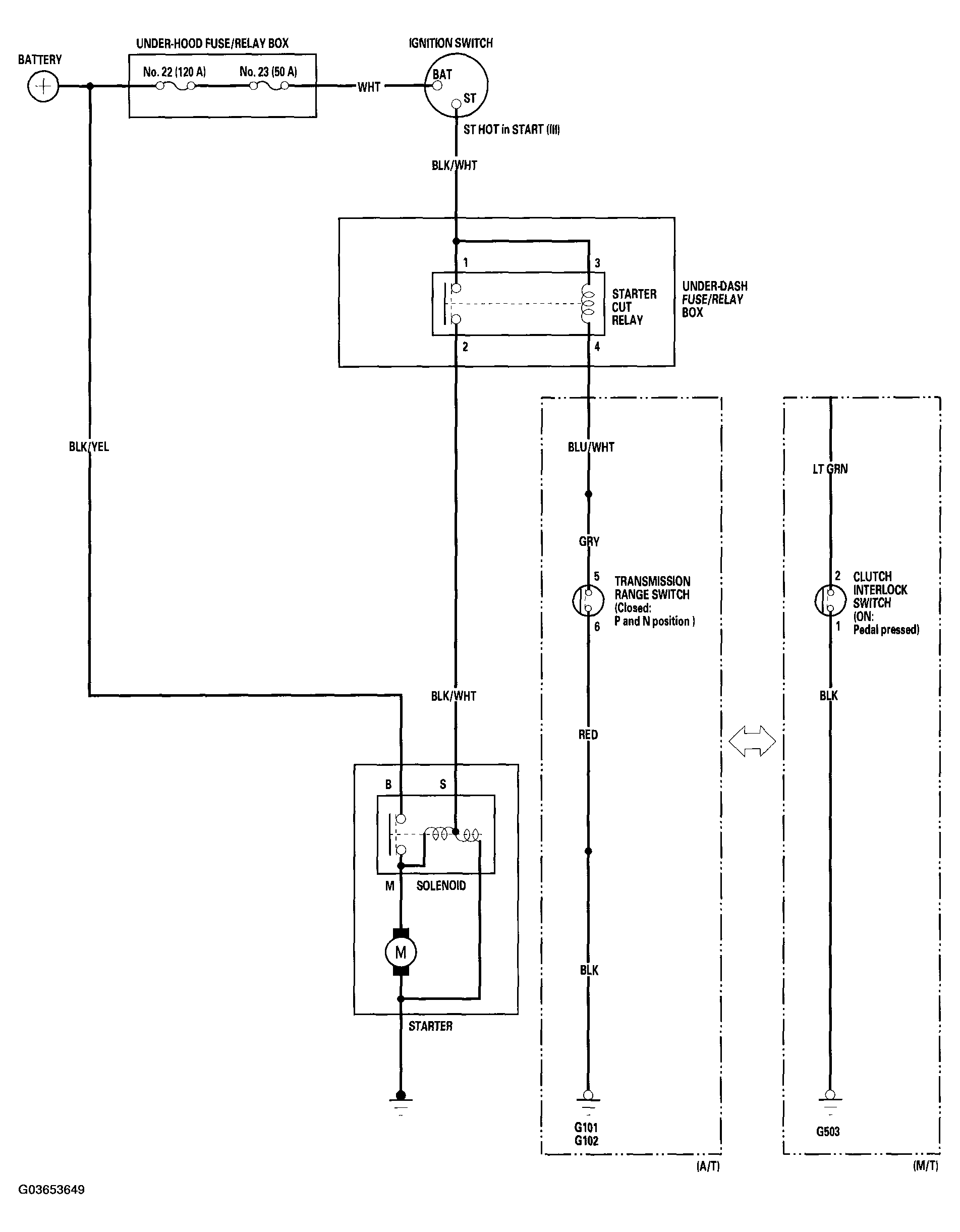 G03653649