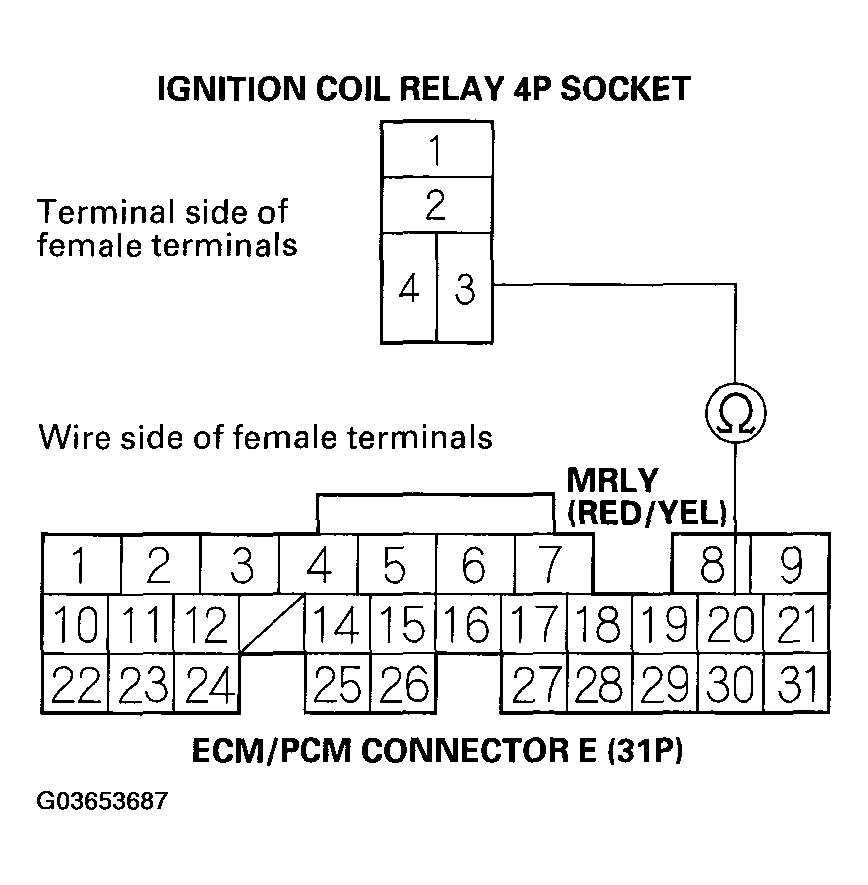 G03653687