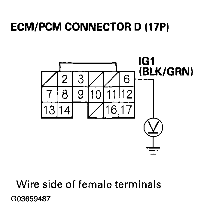 G03659487