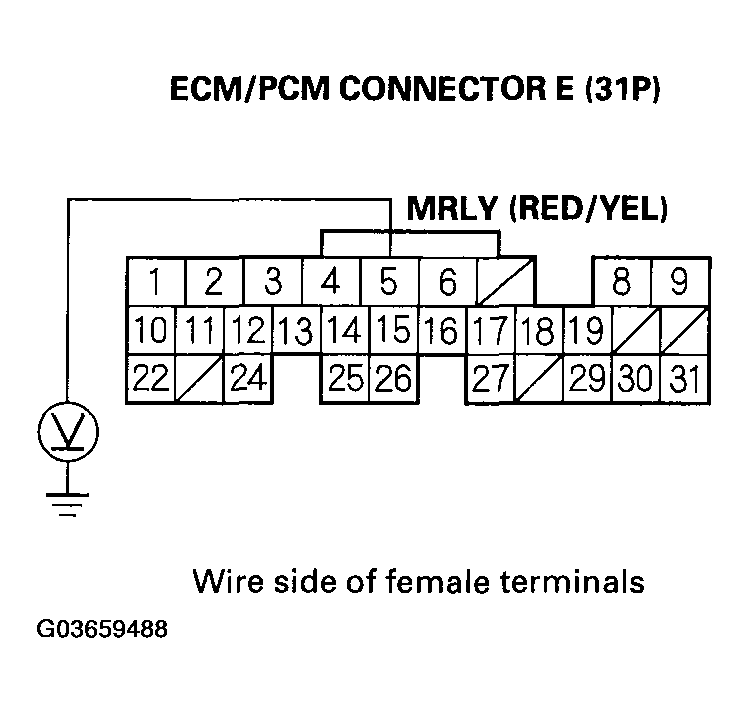 G03659488