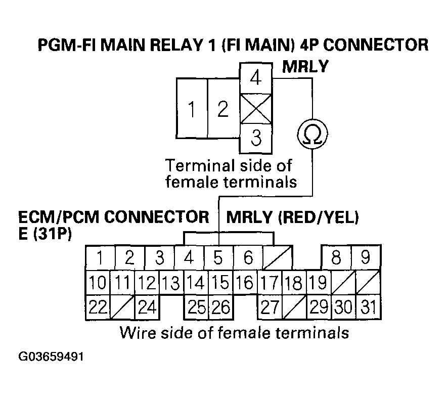 G03659491