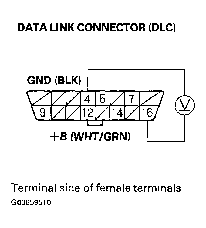 G03659510