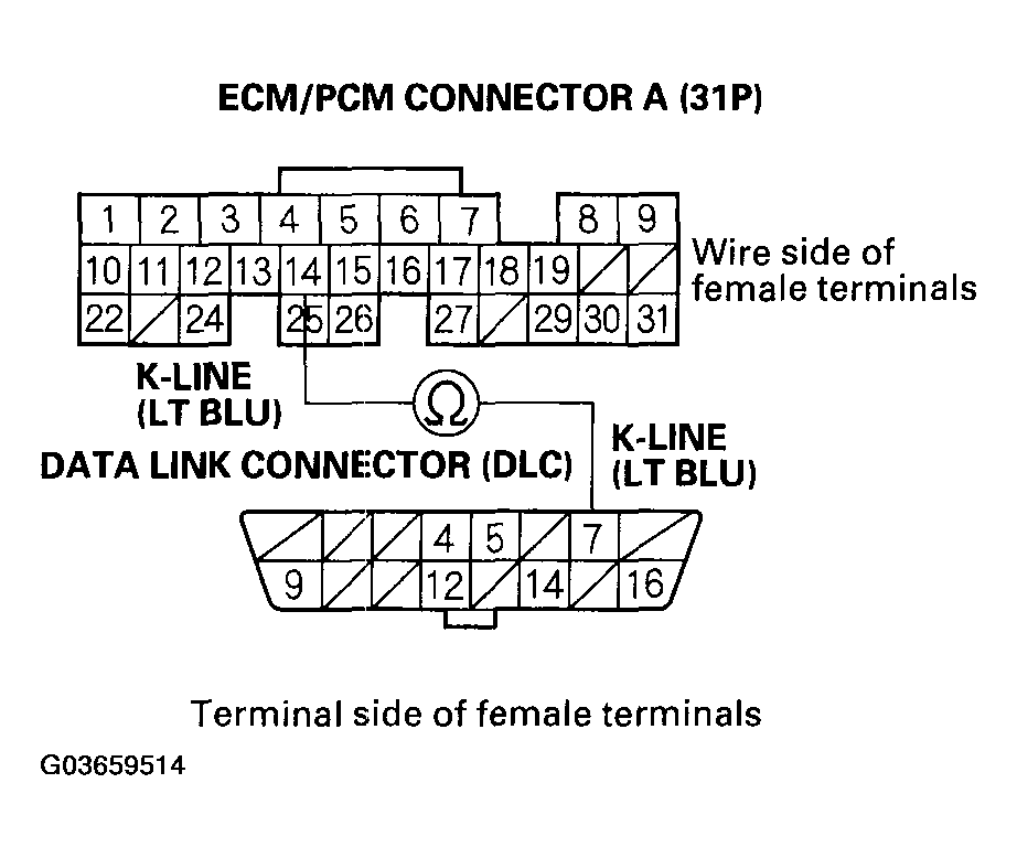 G03659514