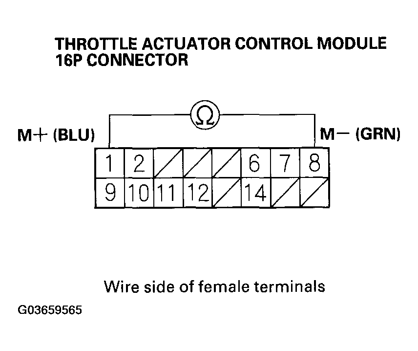 G03659565