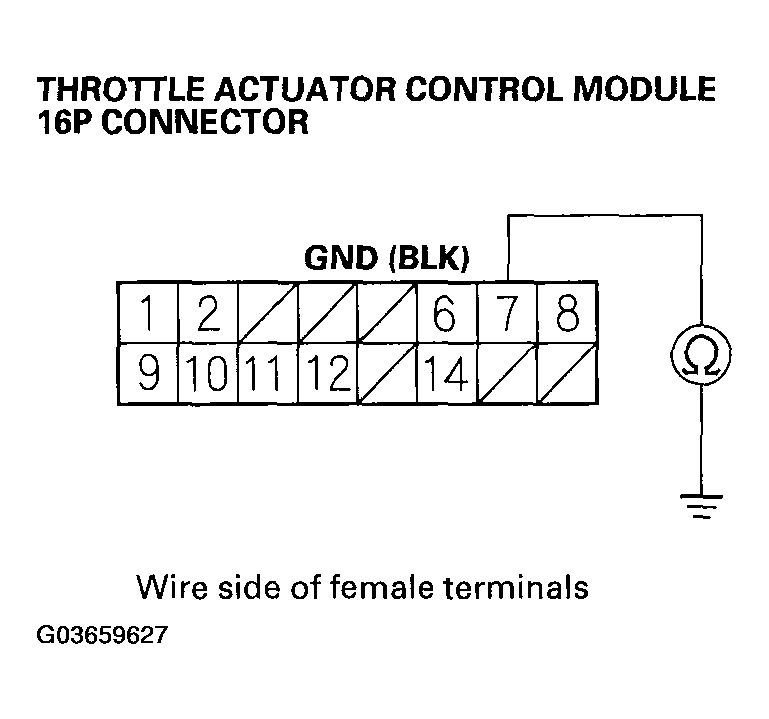 G03659627