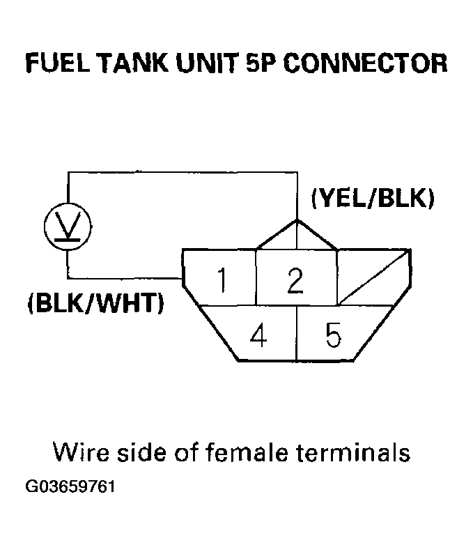 G03659761