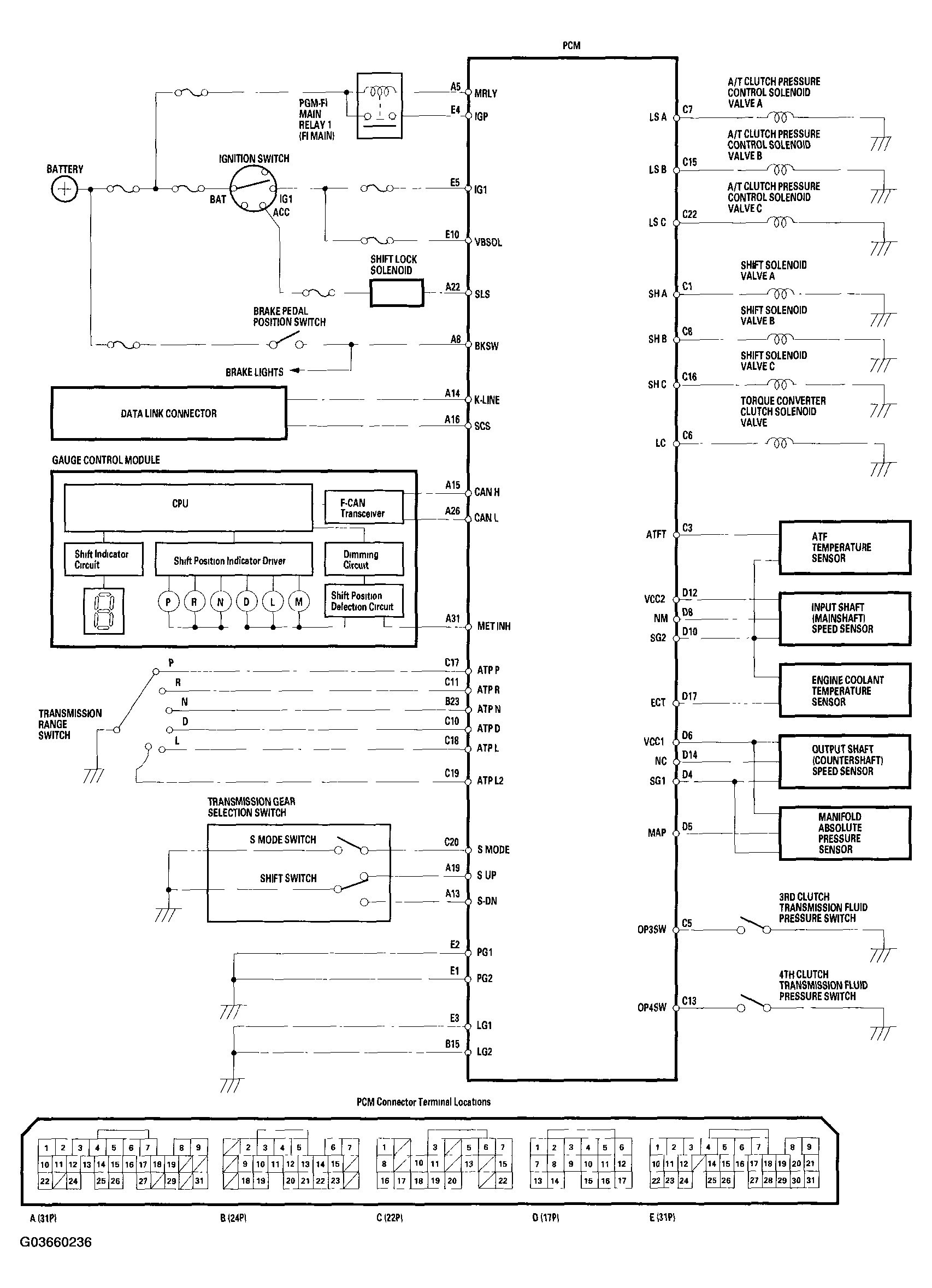 G03660236