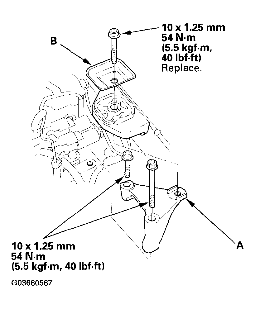 G03660567