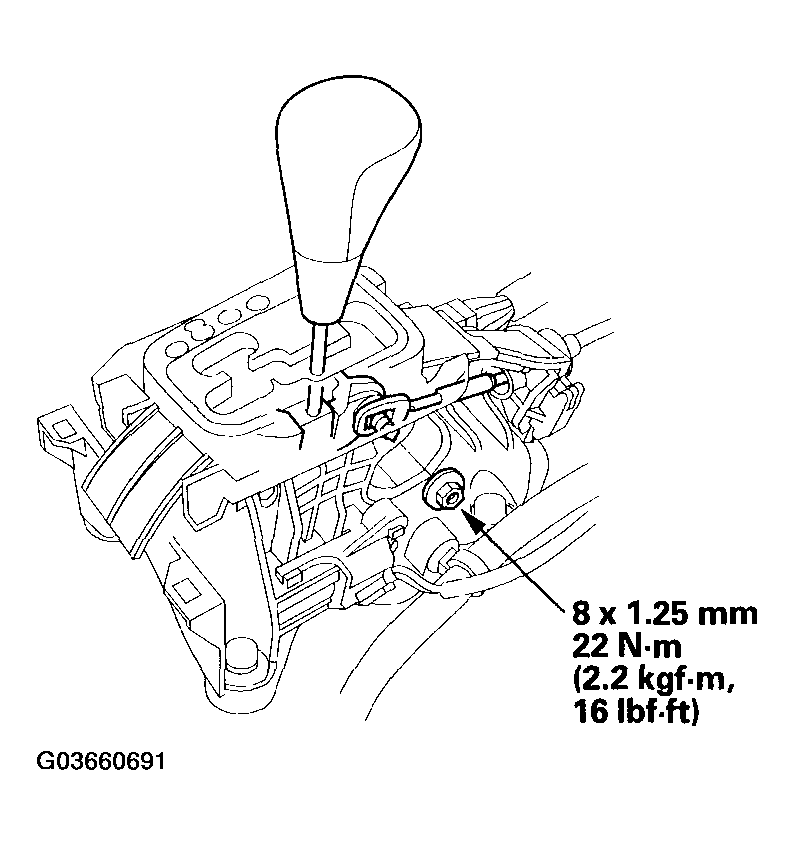 G03660691