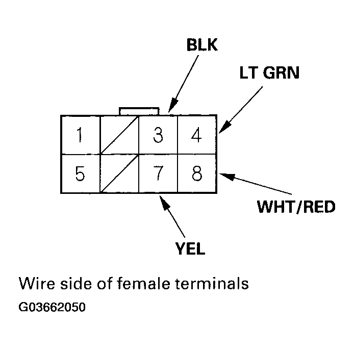 G03662050