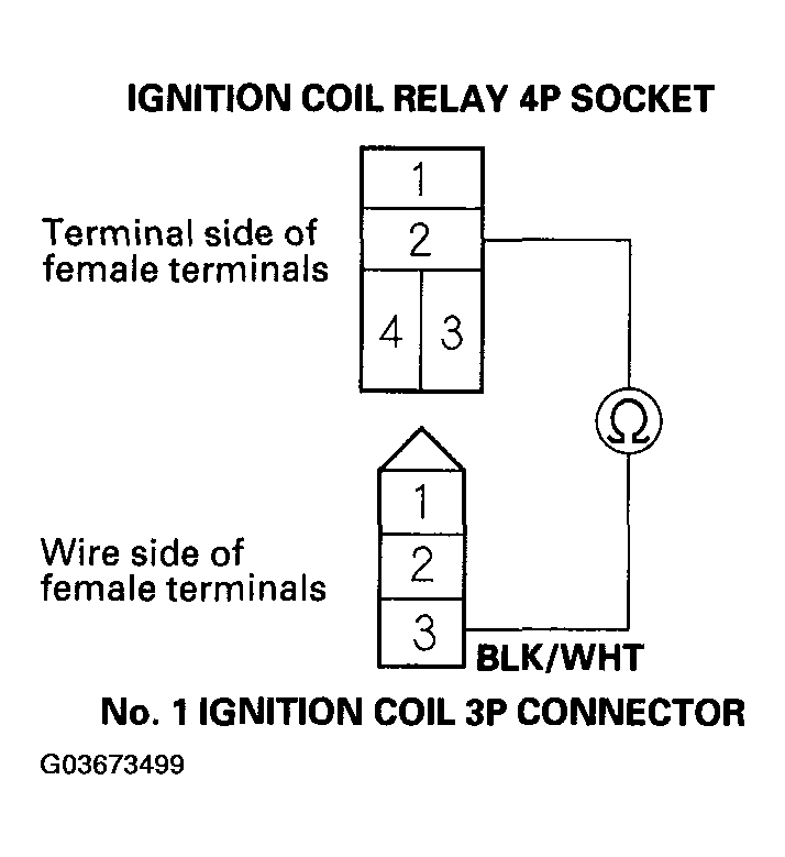 G03673499