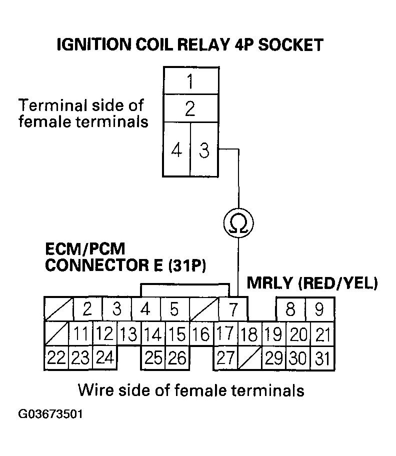 G03673501
