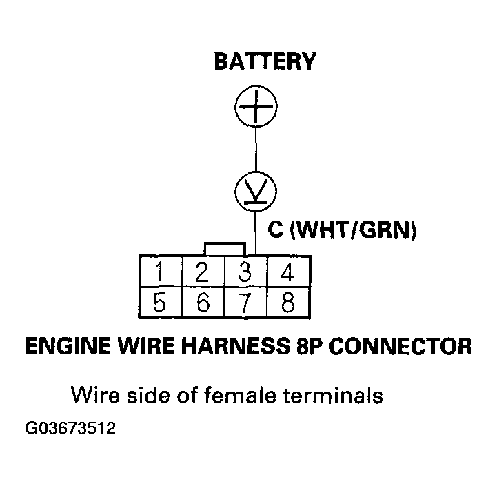 G03673512