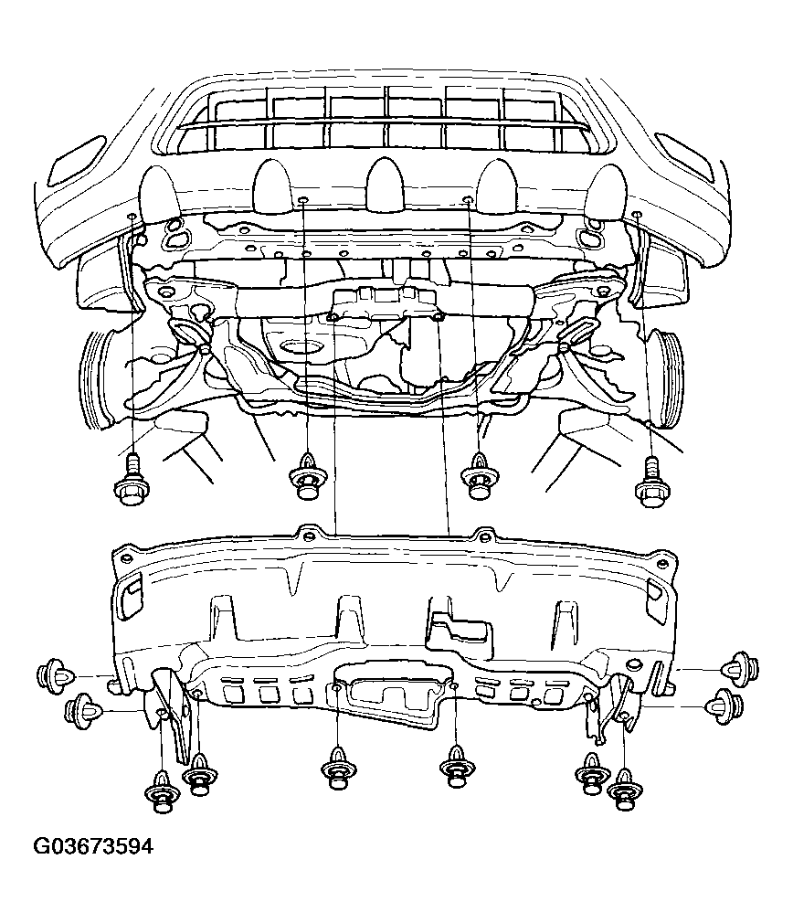 G03673594