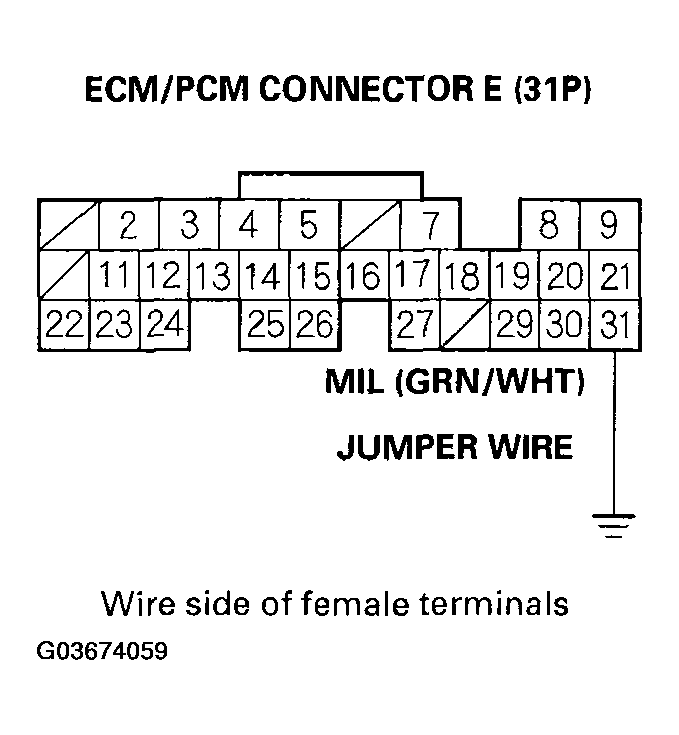 G03674059