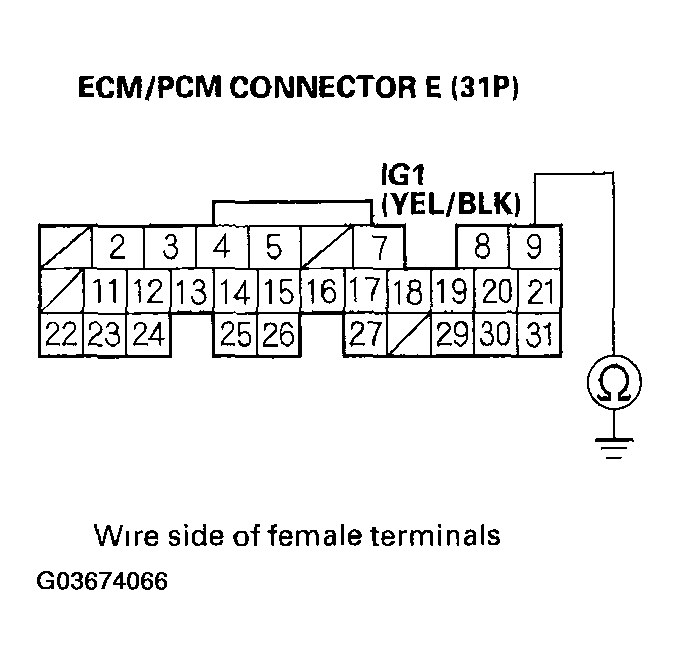 G03674066