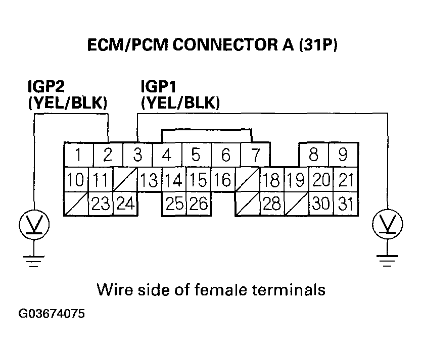 G03674075