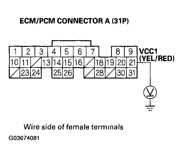 G03674081