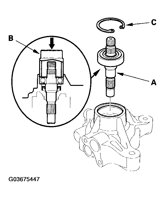 G03675447