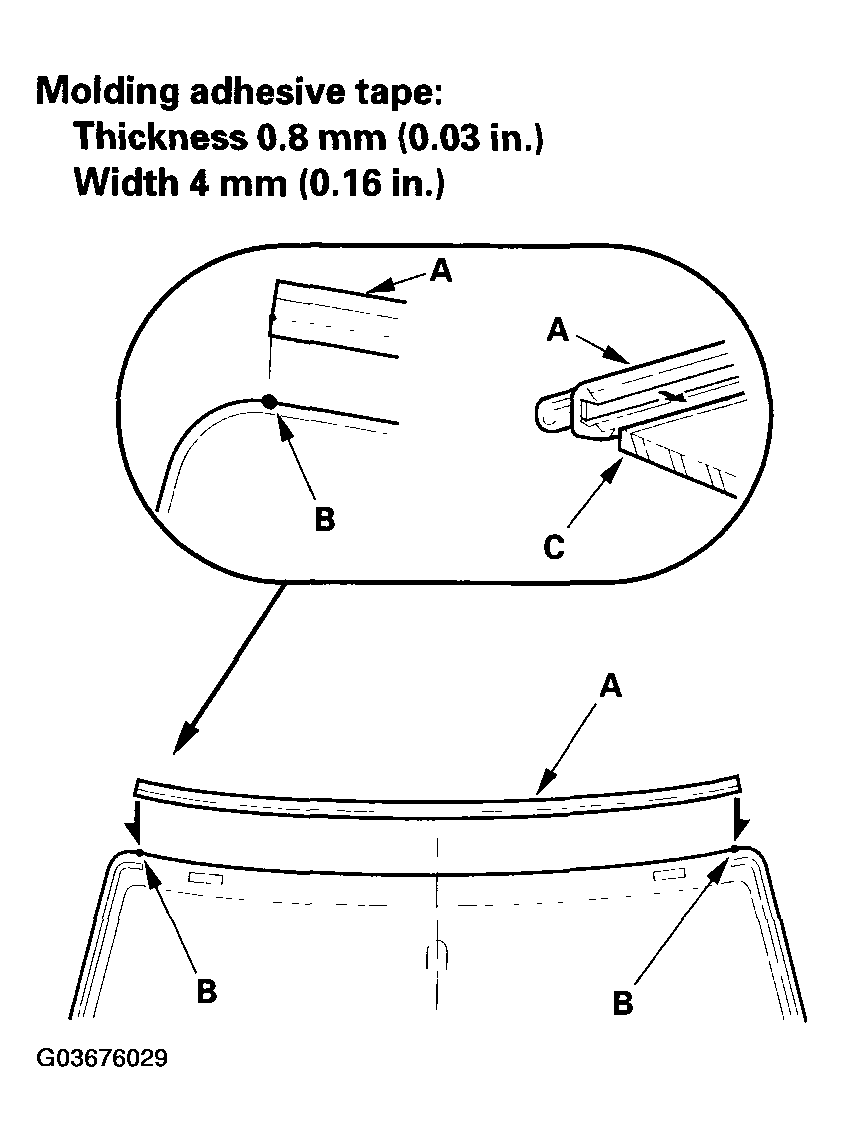 G03676029