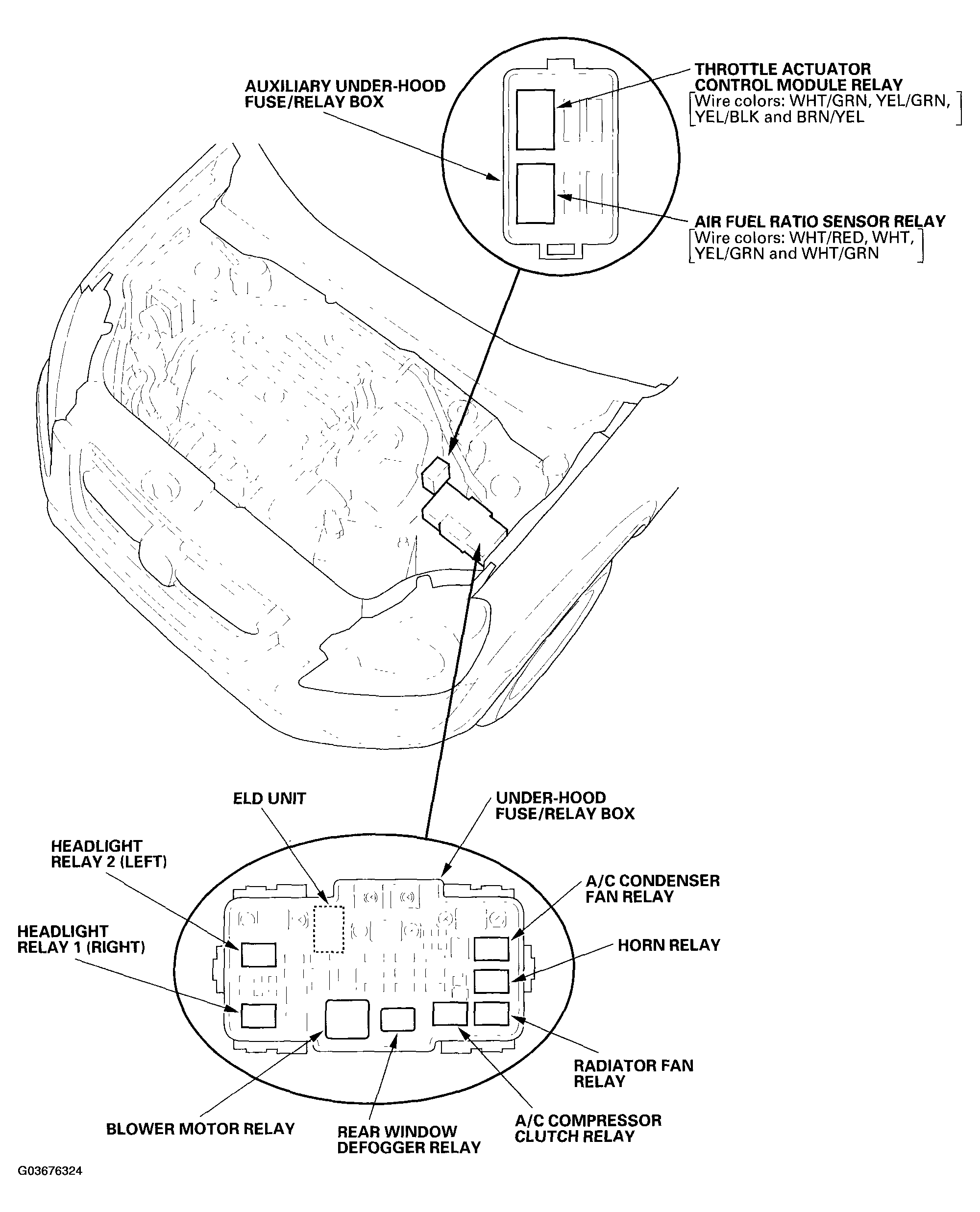 G03676324