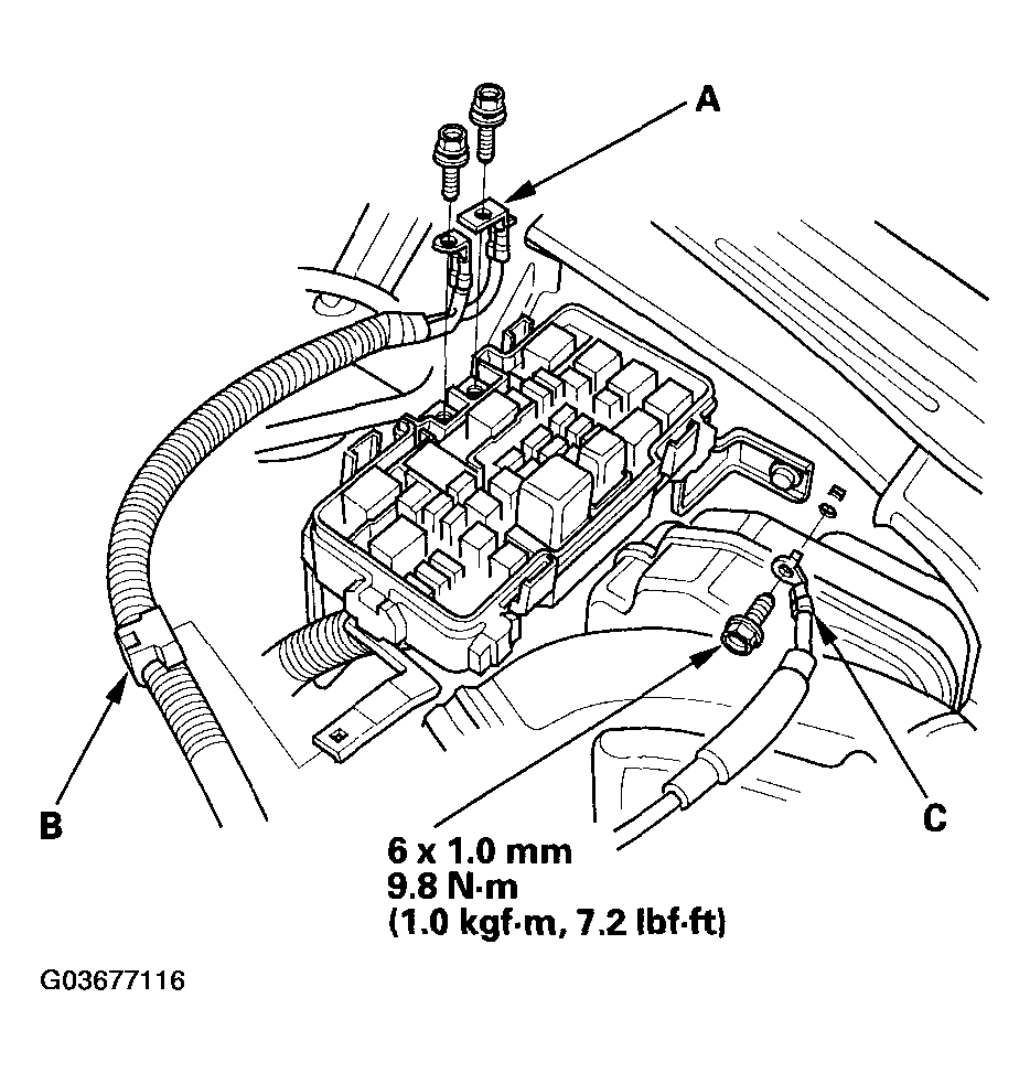 G03677116