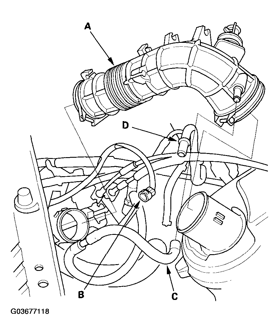 G03677118