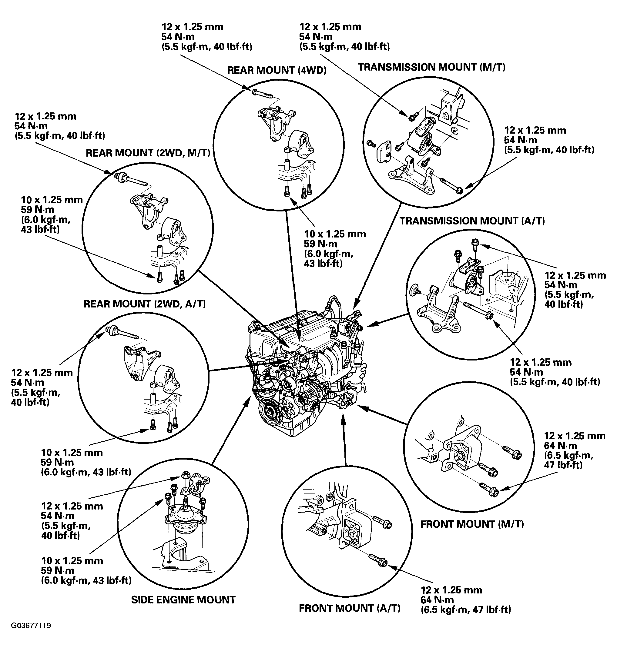 G03677119