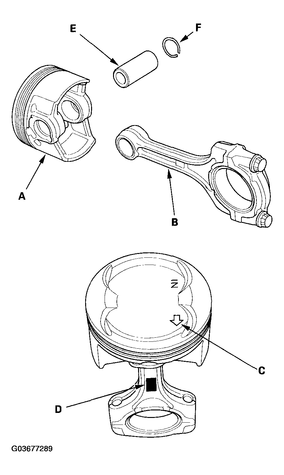 G03677289