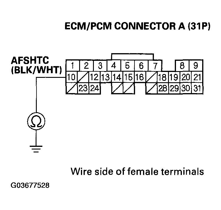 G03677528