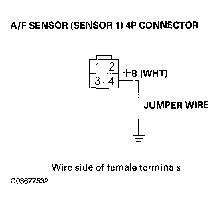 G03677532