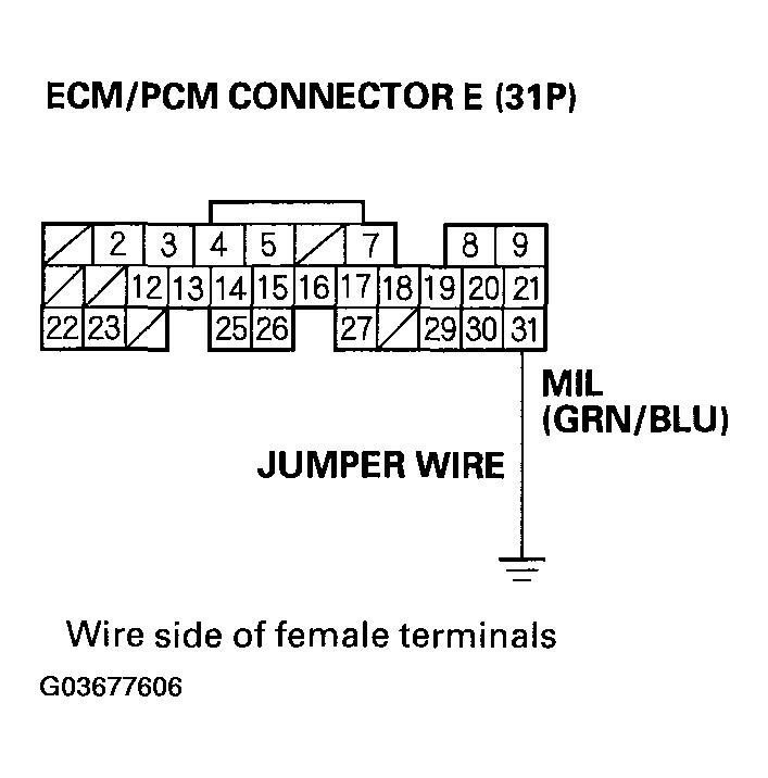 G03677606