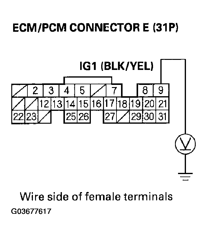G03677617
